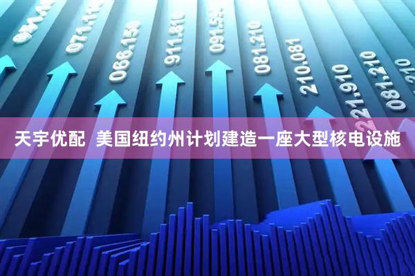 天宇优配  美国纽约州计划建造一座大型核电设施