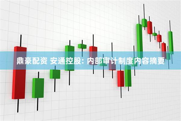 鼎豪配资 安通控股: 内部审计制度内容摘要