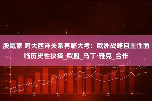 股赢家 跨大西洋关系再临大考：欧洲战略自主性面临历史性抉择_欧盟_马丁·雅克_合作