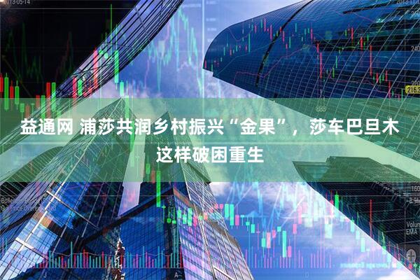 益通网 浦莎共润乡村振兴“金果”，莎车巴旦木这样破困重生