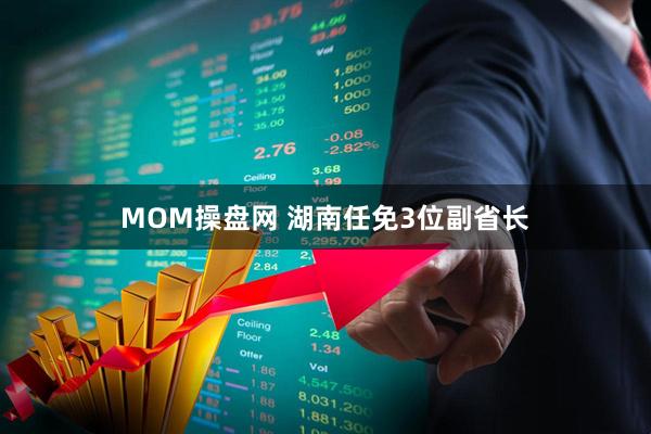 MOM操盘网 湖南任免3位副省长