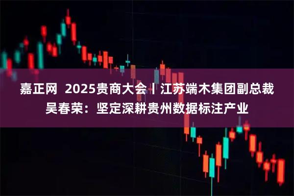 嘉正网  2025贵商大会丨江苏端木集团副总裁吴春荣：坚定深耕贵州数据标注产业
