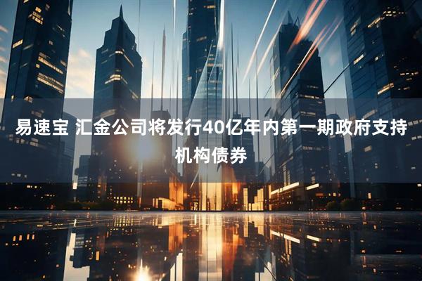 易速宝 汇金公司将发行40亿年内第一期政府支持机构债券
