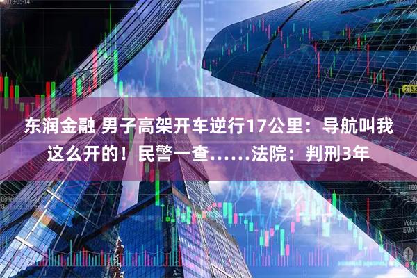 东润金融 男子高架开车逆行17公里：导航叫我这么开的！民警一查……法院：判刑3年